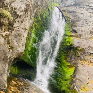 Meet your Posher, Arvind